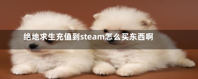 绝地求生充值到steam怎么买东西啊