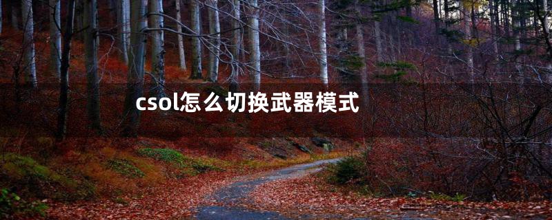csol怎么切换武器模式