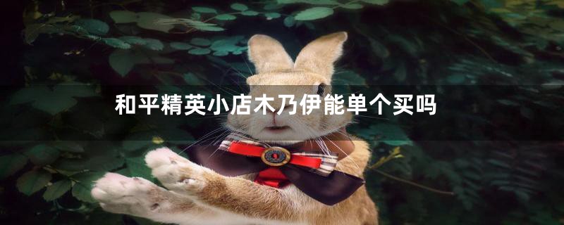 和平精英小店木乃伊能单个买吗
