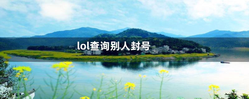 lol查询别人封号