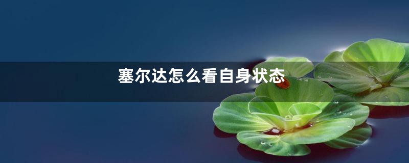 塞尔达怎么看自身状态
