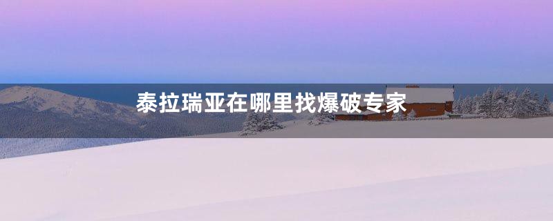 泰拉瑞亚在哪里找爆破专家