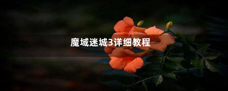 魔域迷城3详细教程