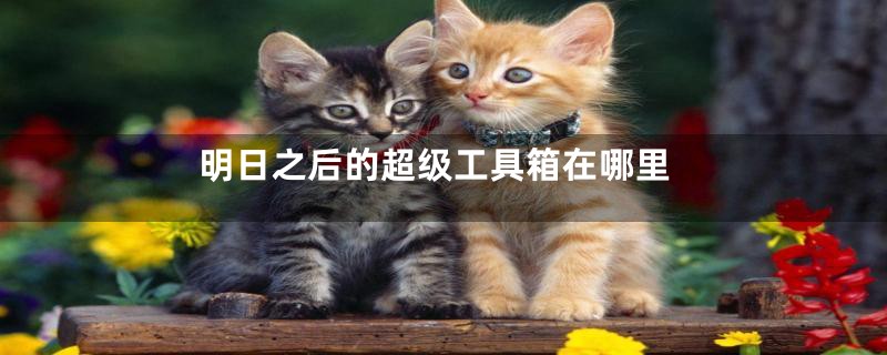 明日之后的超级工具箱在哪里