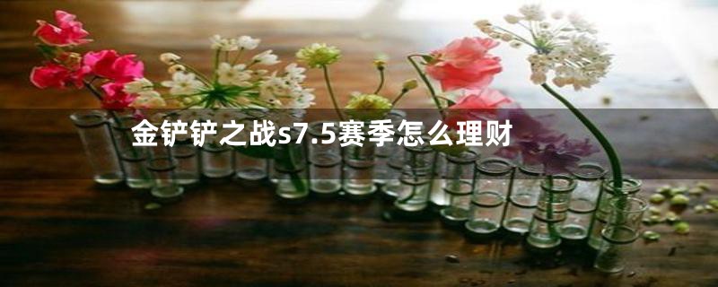 金铲铲之战s7.5赛季怎么理财