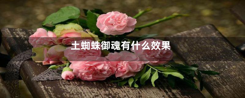 土蜘蛛御魂有什么效果