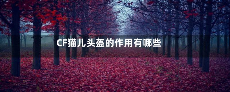 CF猫儿头盔的作用有哪些