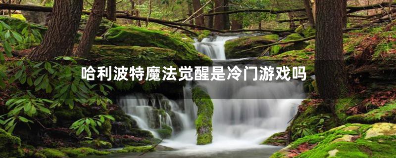 哈利波特魔法觉醒是冷门游戏吗