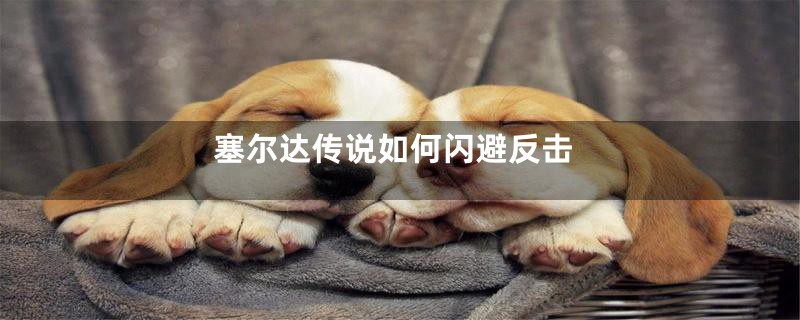 塞尔达传说如何闪避反击