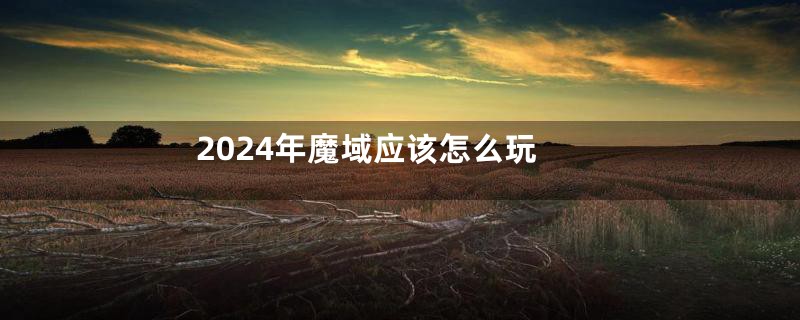 2024年魔域应该怎么玩