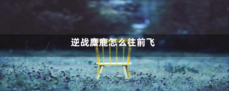 逆战麋鹿怎么往前飞