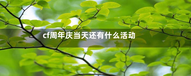 cf周年庆当天还有什么活动