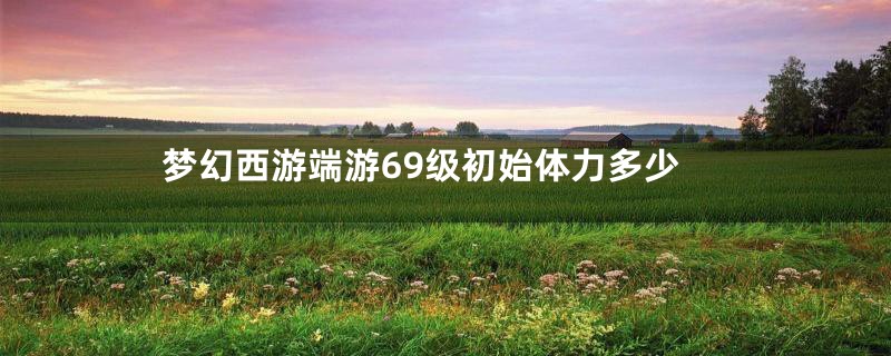 梦幻西游端游69级初始体力多少