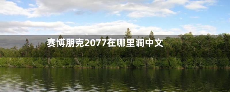 赛博朋克2077在哪里调中文