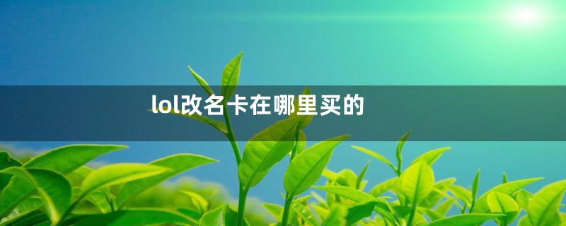 lol改名卡在哪里买的