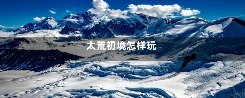 太荒初境怎样玩