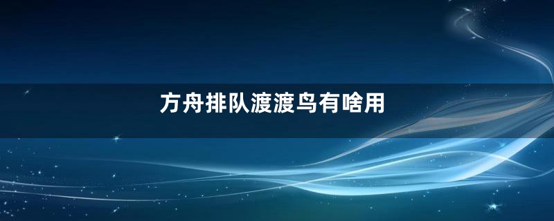 方舟排队渡渡鸟有啥用