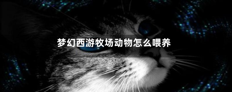 梦幻西游牧场动物怎么喂养