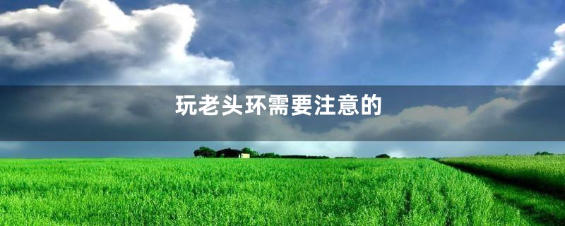 玩老头环需要注意的