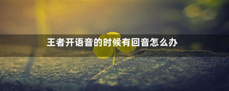 王者开语音的时候有回音怎么办