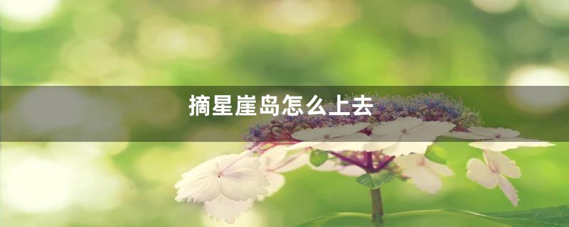 摘星崖岛怎么上去