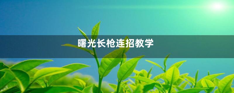 曙光长枪连招教学