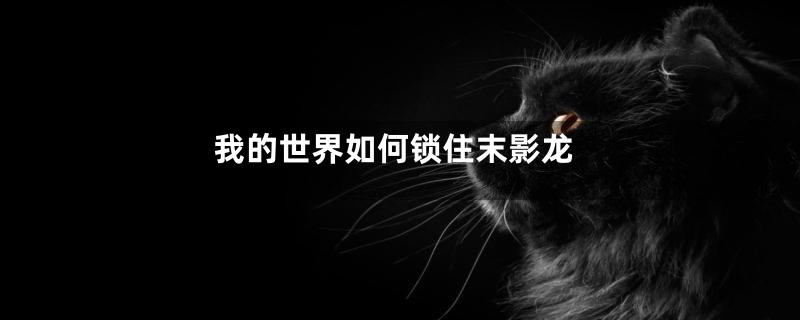 我的世界如何锁住末影龙