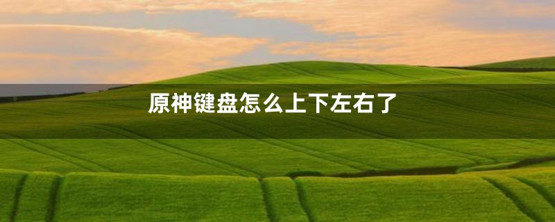 原神键盘怎么上下左右了