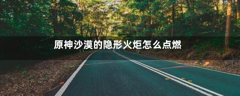 原神沙漠的隐形火炬怎么点燃
