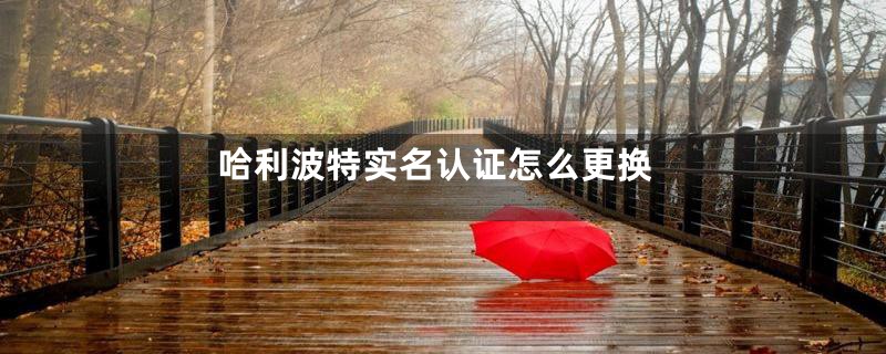 哈利波特实名认证怎么更换