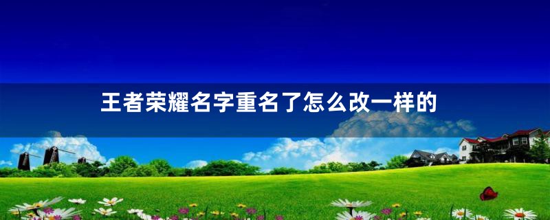 王者荣耀名字重名了怎么改一样的
