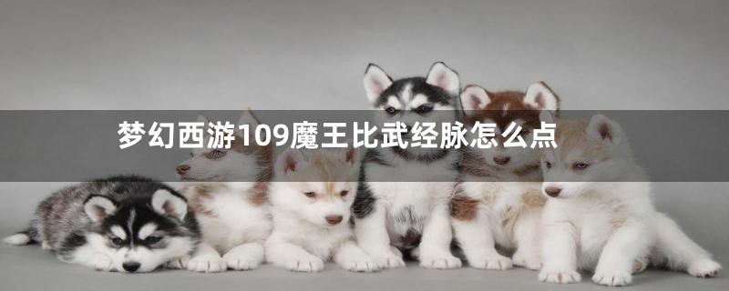 梦幻西游109魔王比武经脉怎么点