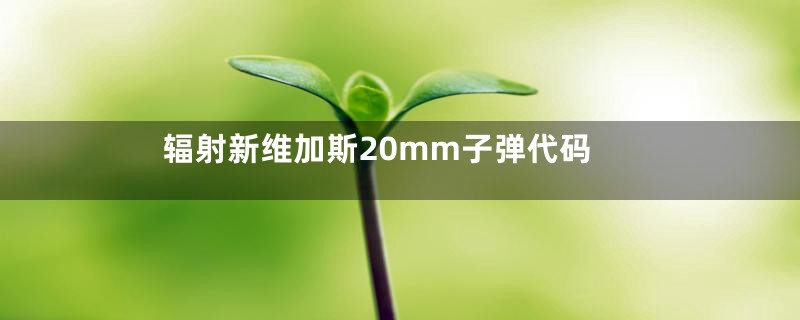 辐射新维加斯20mm子弹代码