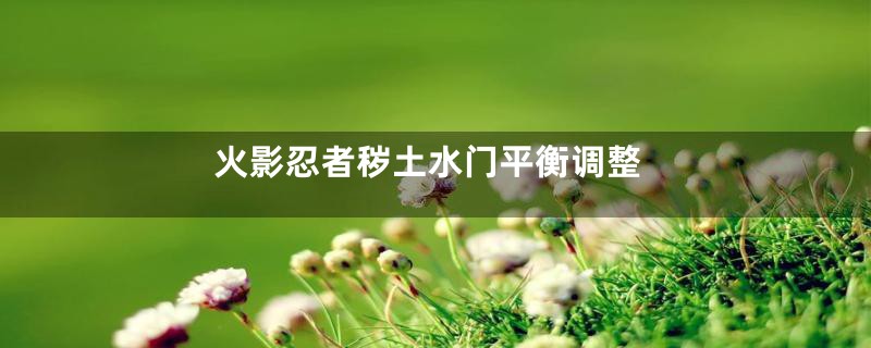 火影忍者秽土水门平衡调整