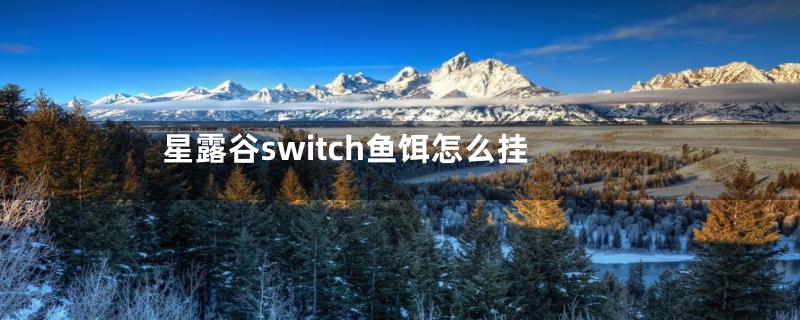 星露谷switch鱼饵怎么挂