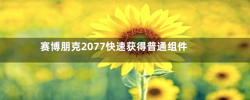 赛博朋克2077快速获得普通组件