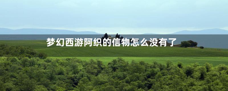 梦幻西游阿织的信物怎么没有了
