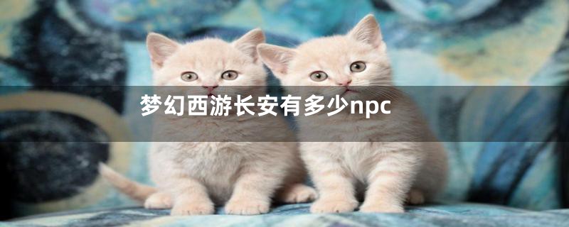 梦幻西游长安有多少npc