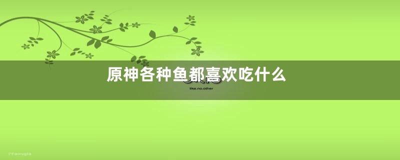 原神各种鱼都喜欢吃什么