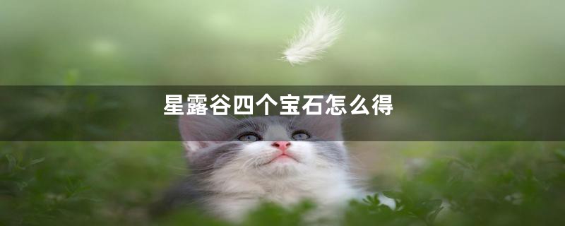 星露谷四个宝石怎么得