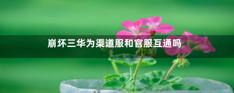 崩坏三华为渠道服和官服互通吗