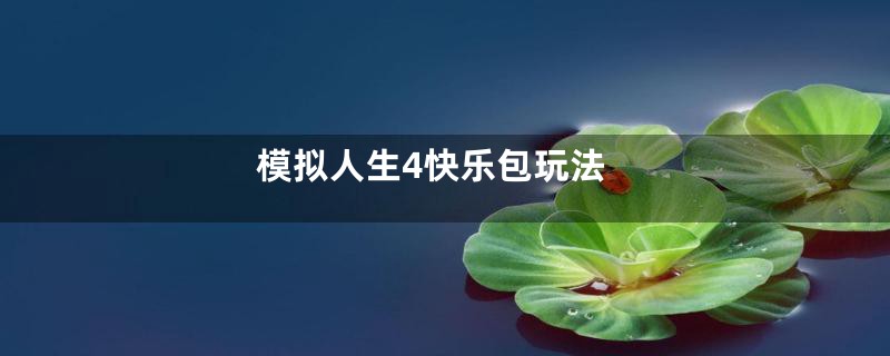 模拟人生4快乐包玩法