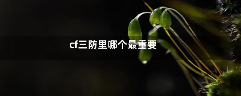 cf三防里哪个最重要