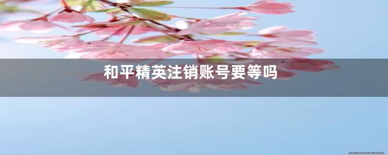 和平精英注销账号要等吗