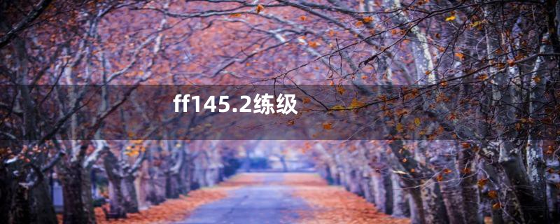 ff145.2练级