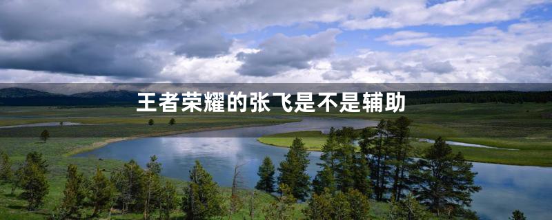 王者荣耀的张飞是不是辅助