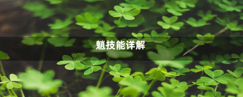 魈技能详解
