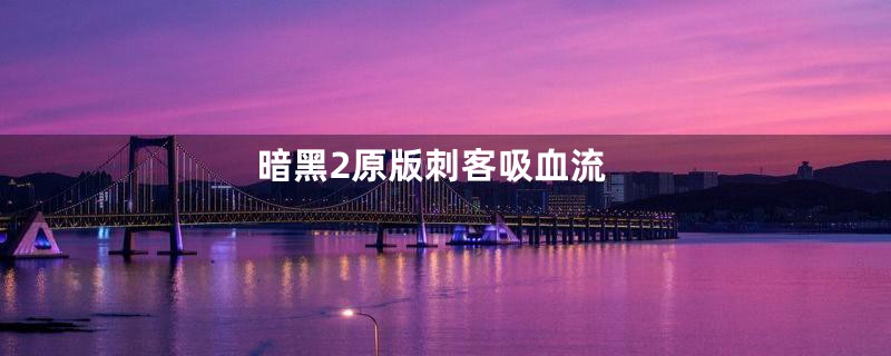 暗黑2原版刺客吸血流