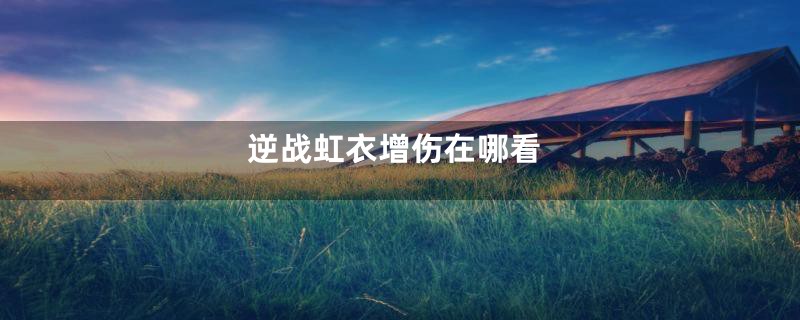 逆战虹衣增伤在哪看