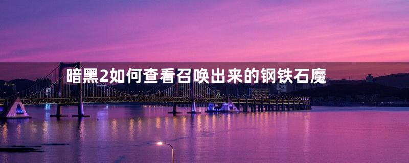 暗黑2如何查看召唤出来的钢铁石魔